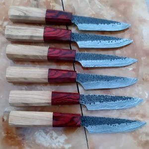 Japnes steak knives set